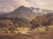 Percy Gray Mt Tamalpais from the North (mk42) oil painting picture wholesale